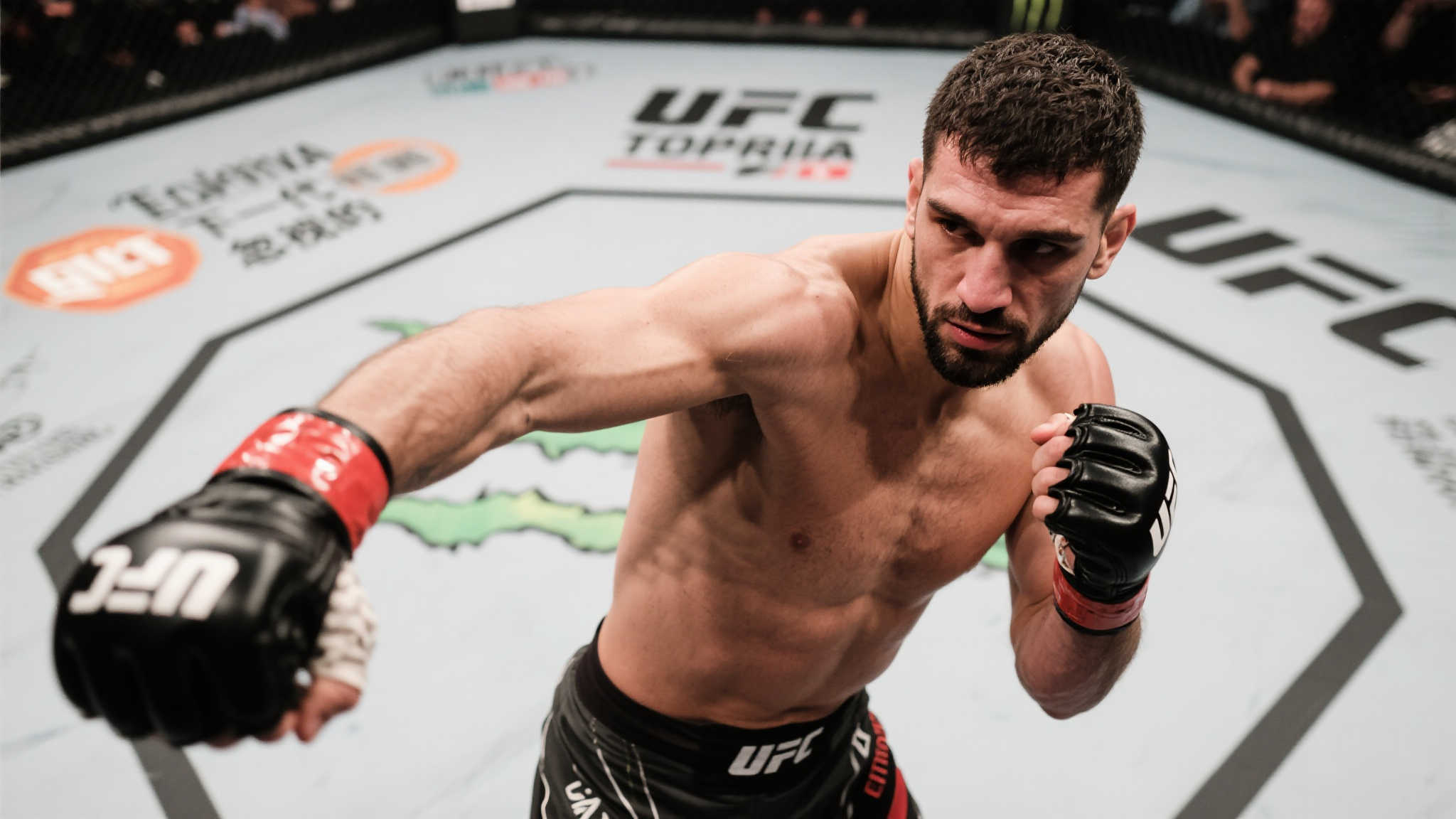 乐鱼体育平台简介